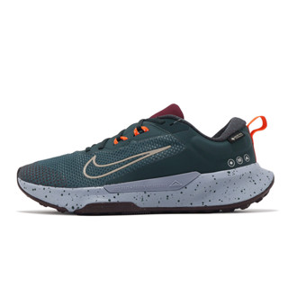 Nike 越野跑鞋 Juniper Trail 2 Gore-Tex 男鞋 防水 綠 [ACS] FB2067-300