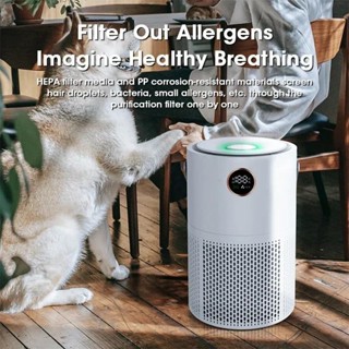 100000mah 家用空氣淨化器 HEPA 過濾器 PM 2.5 H13 HEPA 去除可充電廚房無過濾器家用除味清潔
