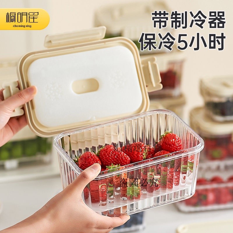 便攜式移動小冰箱保鮮盒 自帶冰盒便當盒 戶外手提水果盒子 外出攜帶保鮮盒