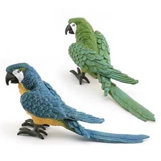 ❤樂樂屋❤模擬野生動物小鳥模型兒童認知金剛鸚鵡飛禽鳥類裝飾擺件玩具兒童創意禮物