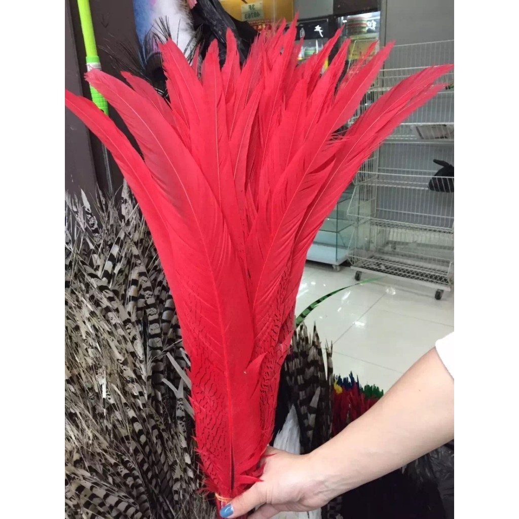 羽毛裝飾 大紅色銀雞尾 道具裝飾 京劇戲劇戲曲翎子 頭飾羽毛 野雞毛 配件 DIY羽毛裝飾