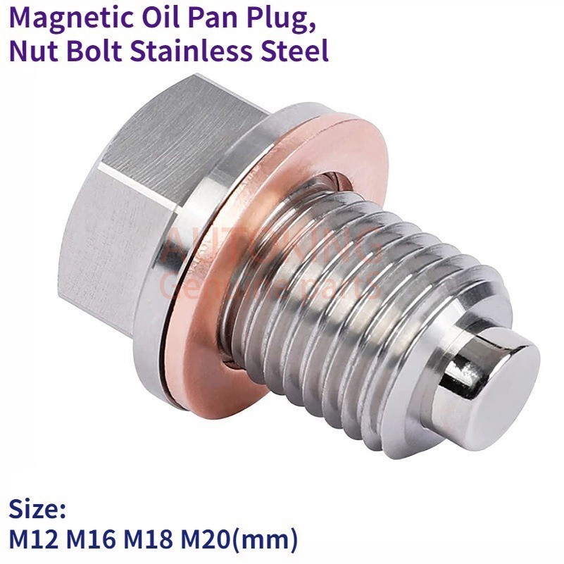 M12 M16 M18 M20 磁性油底殼塞,螺母螺栓不銹鋼