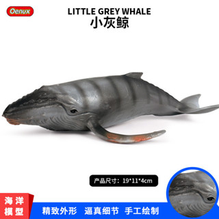 ★限時熱銷★兒童認知實心模擬海洋動物模型玩具灰鯨鯊魚鯨鯊海底生物擺件兒童禮物