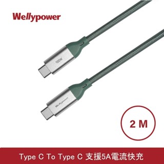 Wellypower C to C 100W/2米傳輸充電線 (綠色) WHC05G1 【全國電子】