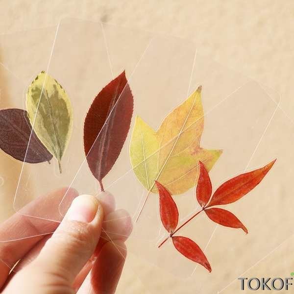 10張套多種樹葉標本膠膜卡片彩色銀杏楓葉白色葉子禮物押乾燥花書籤