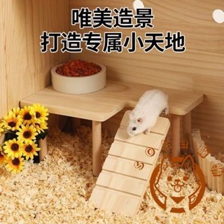【Sora寵物】寵物用品倉鼠籠子樓梯兩層臺桌子爬梯金絲熊造景用品