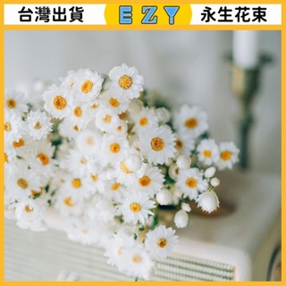 [EZY]臺灣出貨 永生花 乾燥花 永生花束天然羅丹斯小雛菊幹花魯丹鳥風幹真花舒雅傢居裝飾攝影幹花擺件