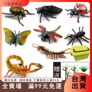 臺灣出貨 -苔倉出 昆蟲玩具模擬動物套餐海底動物模型螞蟻蜘蛛蜜蜂軟膠兒童恐龍玩具