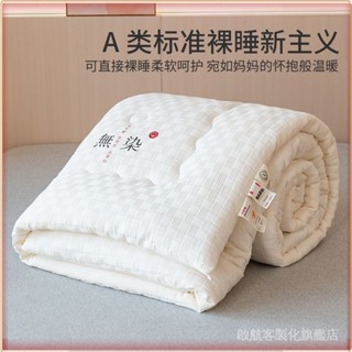 💎臺灣出貨💎 【蓬鬆柔軟好眠】被子被芯春鞦被學生宿捨鼕季加厚保暖單雙人四季通用空調被鼕被 限時特賣A97-1-B