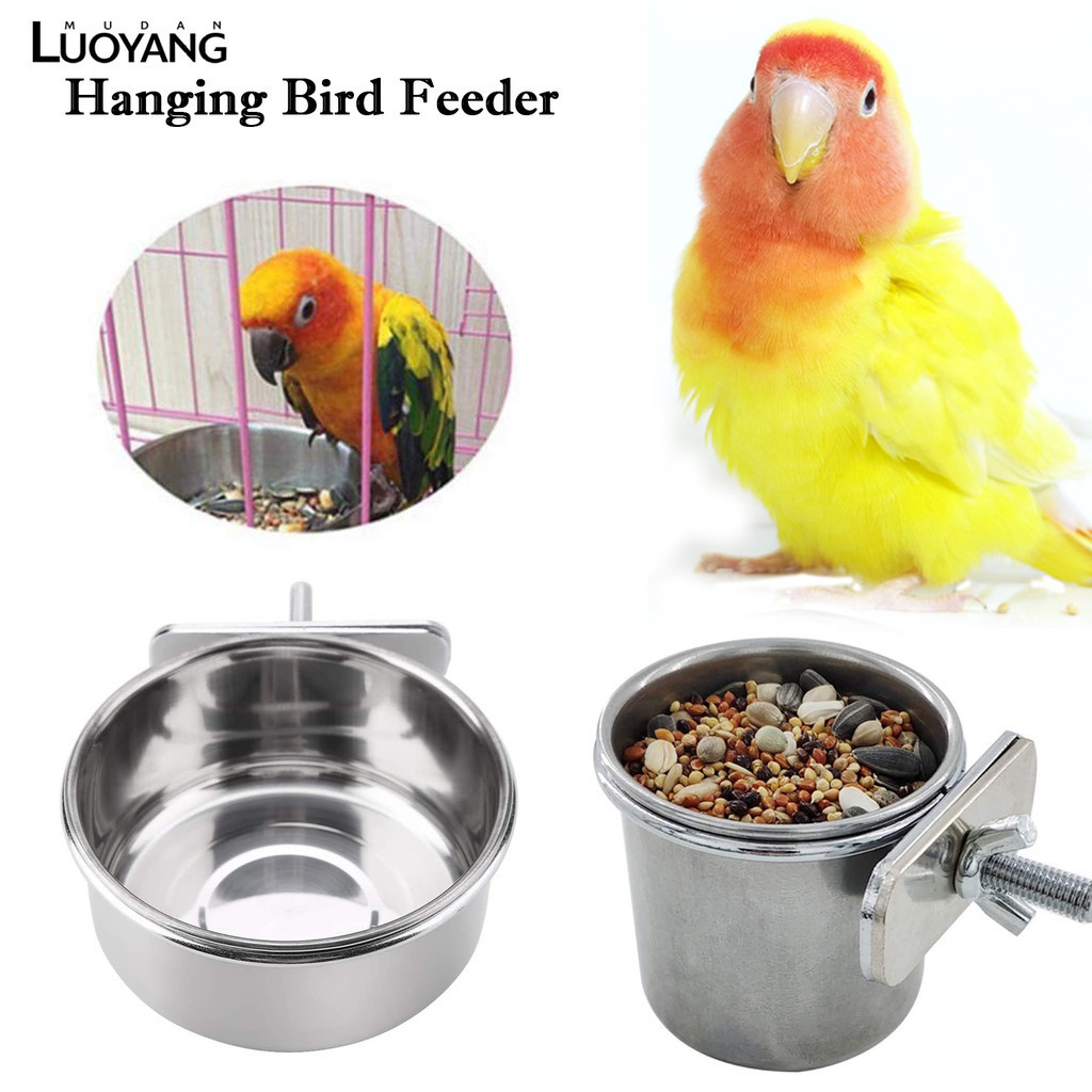 洛陽牡丹 鸚鵡食杯 不鏽鋼食盆食盒鳥籠掛杯 鳥用品用具鳥餵食器
