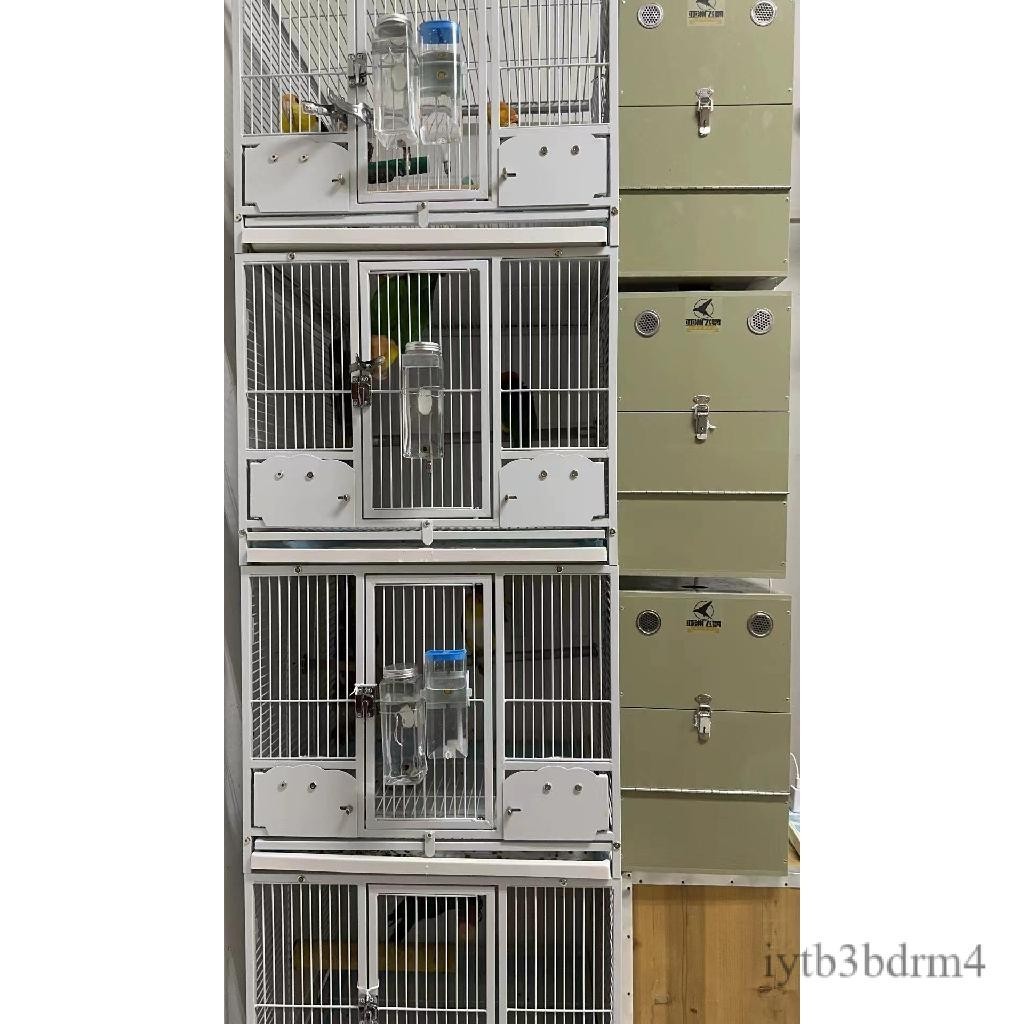 【✨現貨 宅配到府🚛】亞洲飛鸚鸚鵡巢箱繁殖箱適用於 小型 中型 大型