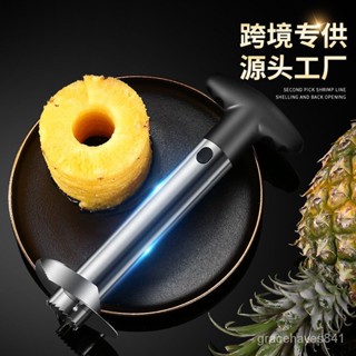【臺灣出貨+統編】跨境亞馬遜不銹鋼菠蘿刀 傢用水果菠蘿去眼削皮器削皮刀菠蘿神器