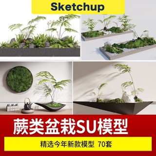 SU模型 景觀庭院園林蕨類盆栽植物小品綠植組合草圖大師庫 sketchup 設計素材