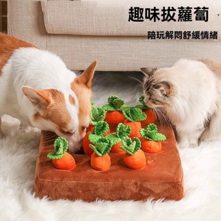 【臺灣出貨】貓咪拔蘿蔔玩具比熊泰迪比熊可啃咬寵物解悶神器貓咪毛絨玩具磨牙