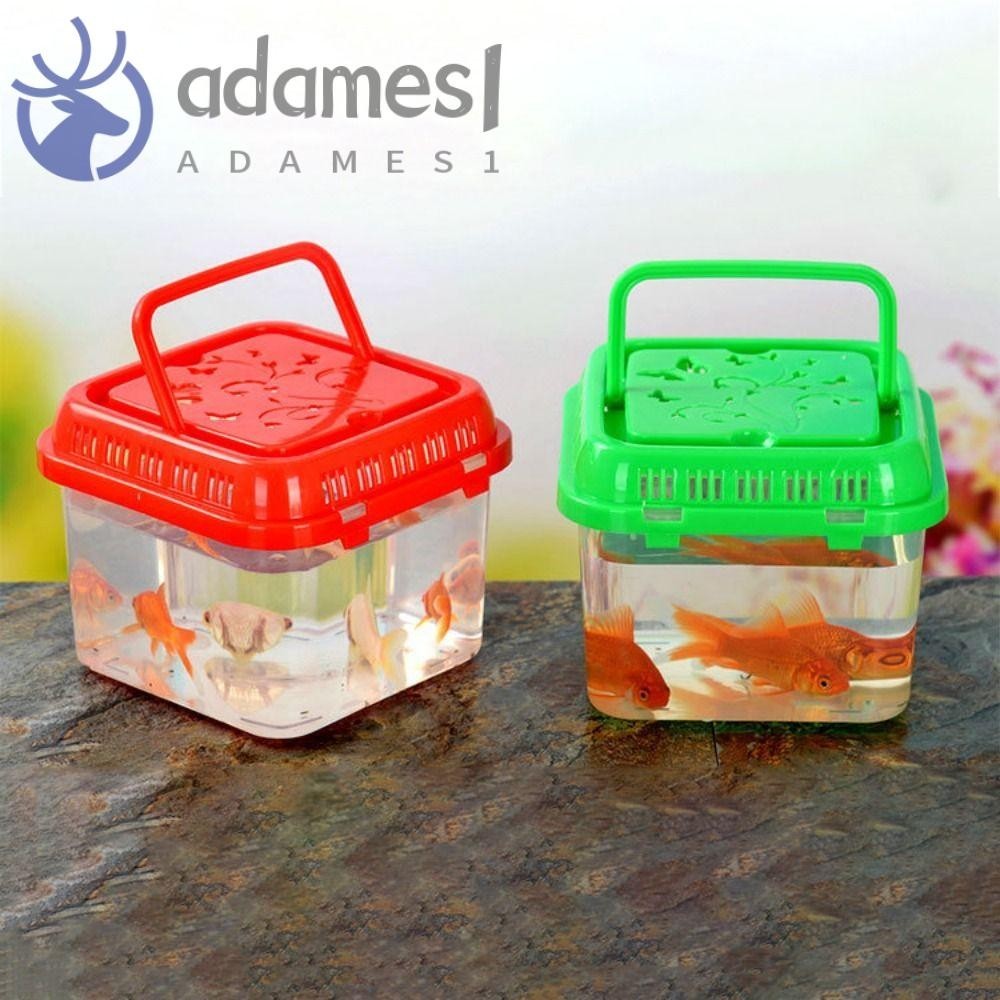 ADAMES爬行動物餵食箱,透明帶手柄便攜式魚缸,手持設備顏色隨機塑料迷你魚缸對於龜魚蜥蜴