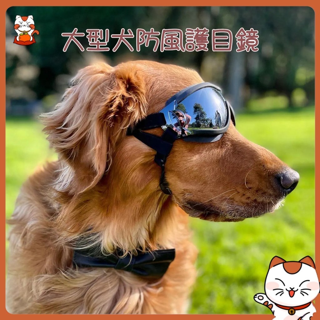 新品熱銷 寵物防風眼鏡 狗狗裝飾護目鏡 寵物防水護目鏡 防曬防紫外綫眼鏡 大狗眼鏡 寵物眼睛 寵物配飾