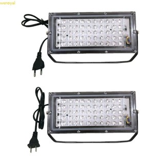 Weroyal 50W 紫外線燈 UVA 燈臭氧消毒紫外線 LED 泛光燈殺菌家用殺塵 Bac