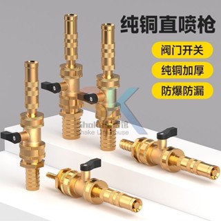 【臺灣出貨】多功能 3分4分5分6分管水管噴頭 高壓強力澆水 洗車可調水槍 全銅家用 WJL
