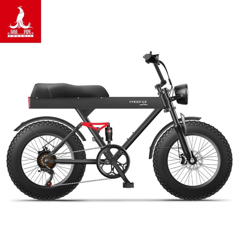 【臺灣專供】鳳凰20寸鋰電雪地電動腳踏車雙碟剎48V內置鋰電池4.0款胎雪地車