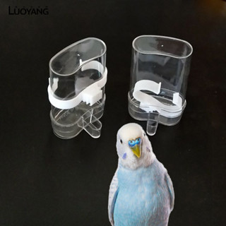 洛陽牡丹 鳥用品自動飲水器餵食器鴿子鸚鵡喝水杯