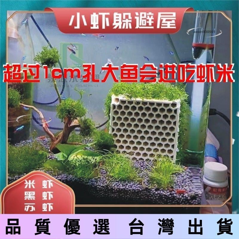 【爬蟲用品】魚缸造景 魚蝦躲避 水族陶罐 水族配件 蝦屋 躲避屋 蝦窩蝦窩 躲避窩 陶瓷蜂窩 黑殻蝦 蘇蝦 水晶蝦 繁殖