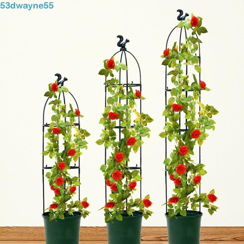 DWAYNE種植架多功能戶外園藝陽台番茄玫瑰支撐桿