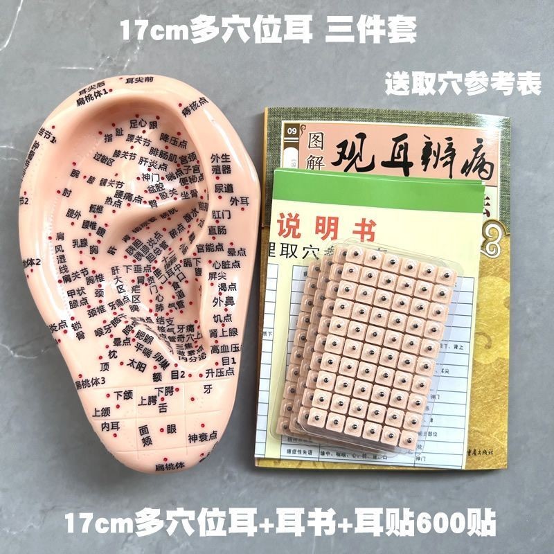 🔥台灣熱賣🔥耳朵模型 17cm中醫用 耳穴貼 按摩透氣 耳豆穴位貼 反射區圖 壓豆正品