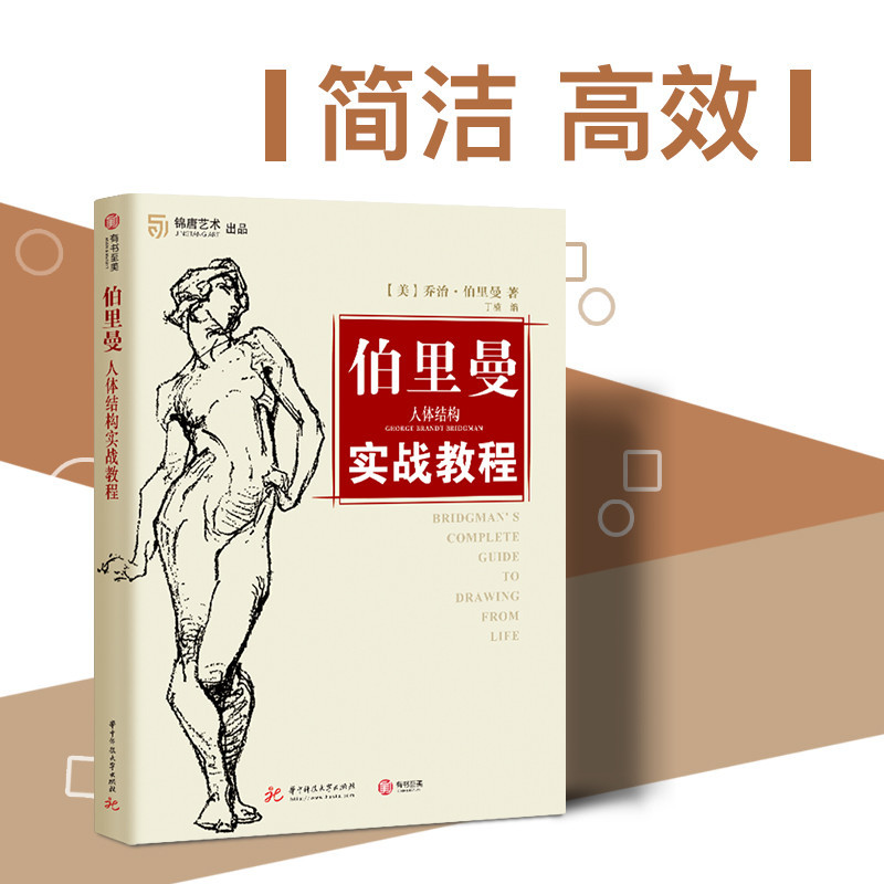 伯裡曼人體結構實戰教程 人體素描基本 人物速寫線描 素描技法繪畫教學解剖 美術書
