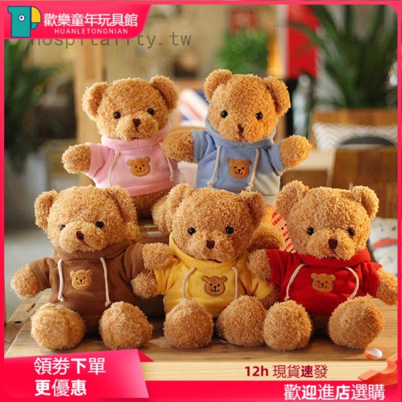 【歡樂童年】✨✨彩色衛衣小熊公仔 泰迪熊毛絨玩具 抱抱熊公仔小熊娃娃