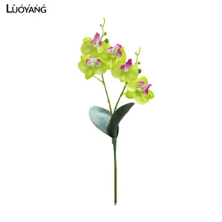 洛陽牡丹 雙叉單支蝴蝶蘭 DIY用品植物牆配件 仿真花