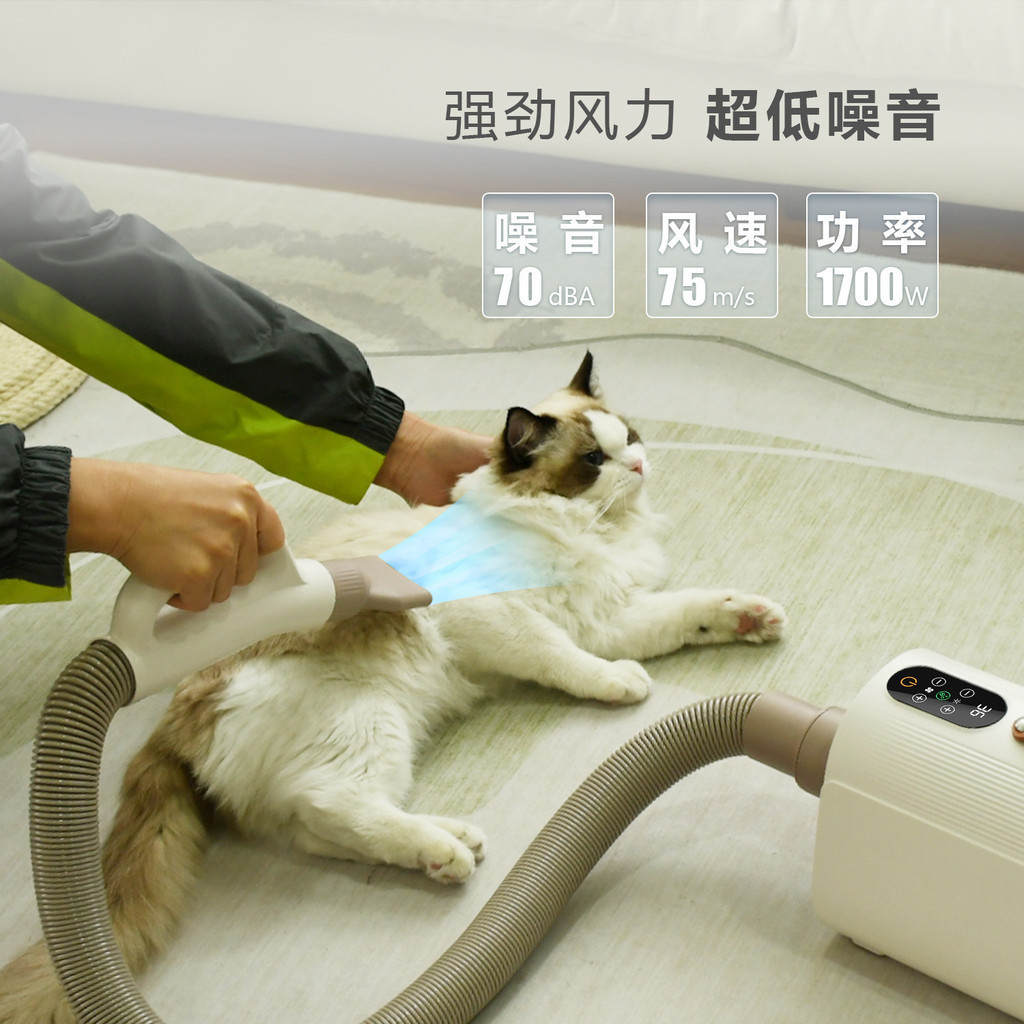 新款寵物吹水機貓咪狗狗吹毛器負離子大功率觸屏烘乾機貓咪吹風機