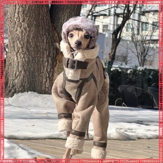 【小靈緹惠位元衣服】鼕季高領 惠位元衣服 義大利小靈緹衣服 格力犬 貝林頓狗 外齣棉衣洋氣