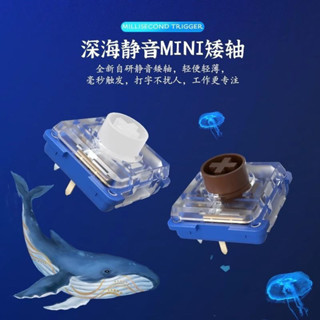 [現貨]凱華Kailh靜音矮軸消音安靜機械鍵盤深海孤島鯨落MINI 1353Hitbox可贈拔軸拔鍵器 JUCD