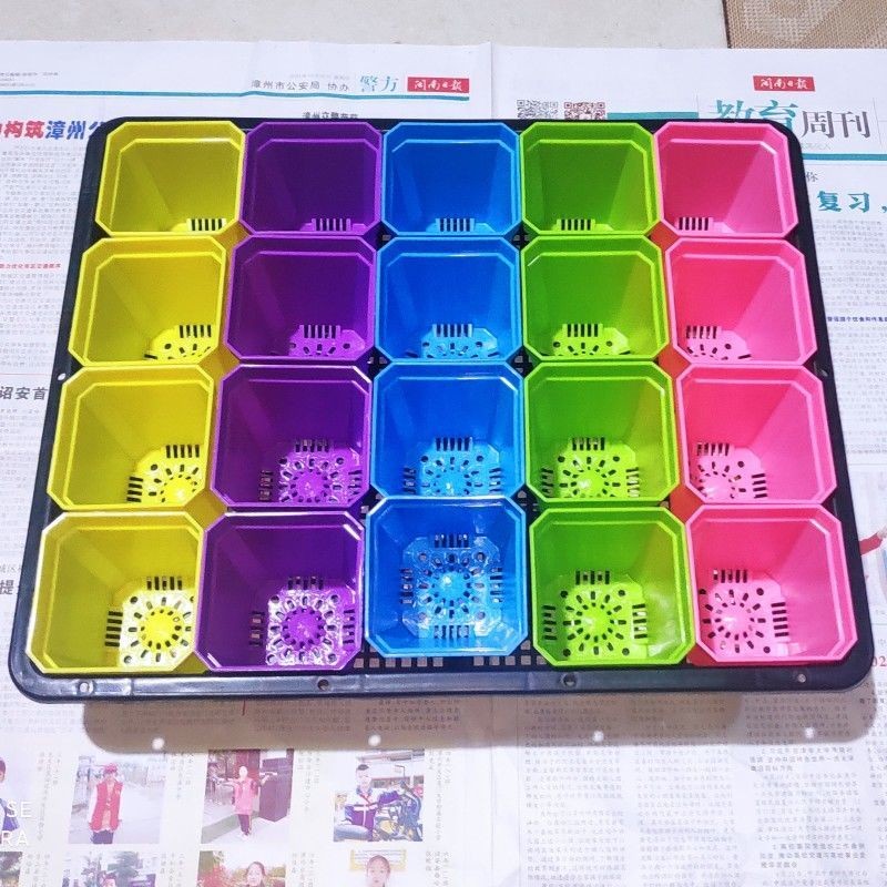 [新品] 多肉植物花盆方形八角形白方盆加厚七方盆塑料帶大號育苗盤葉插盆