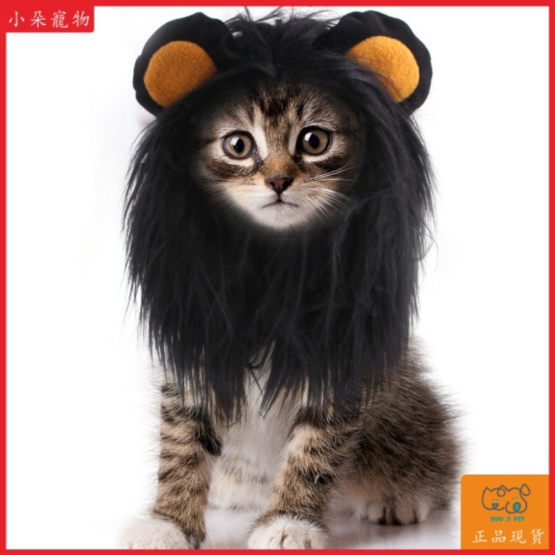 【Duo's Pet】貓咪獅子頭套 頭飾假髮帽 貓衣服 貓假髮 獅子頭套 寵物獅子頭套 寵物玩具 假髮 寵物假髮