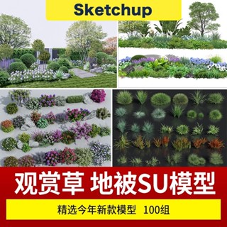 【SU模型】 3d三維花草 地被園林植物草坪草花 草皮草叢 觀賞草 三葉草 SketchUp 設計素材