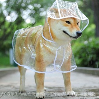 ✨免運特價#透明小狗狗雨衣大中型犬薩摩耶泰迪比熊金毛貓咪衣服寵物衣服用品#SY 森韻