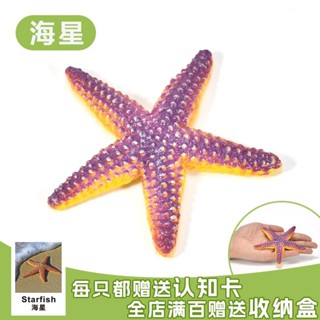 模擬海星模型玩具海洋動物海底生物模型紫海星實心玩具星星玩具20250324