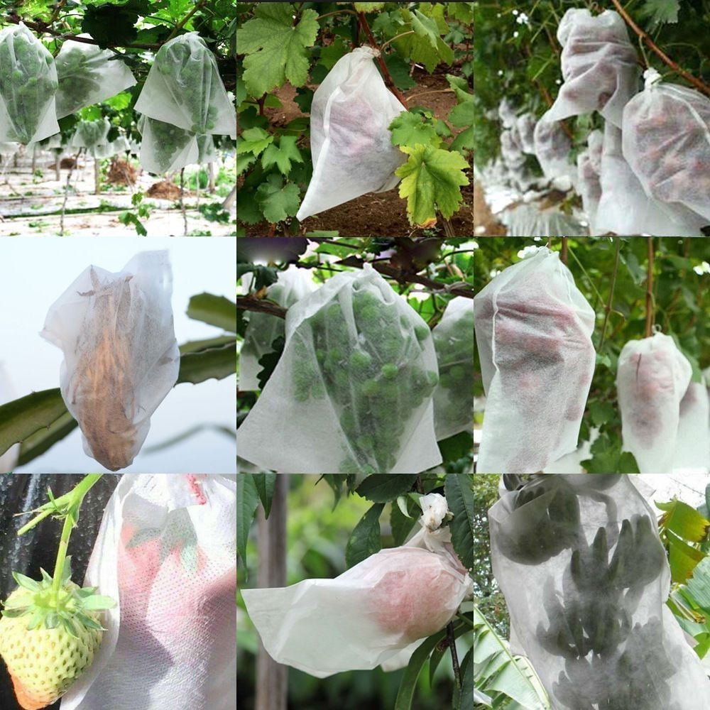 葡萄套袋水果防蟲防鳥網袋水果枇杷透氣保護袋果樹防鳥網袋浸種袋