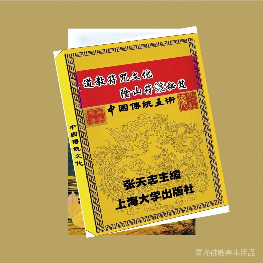 稀缺抄底好書推薦經典藏書道敎符咒文化陰山符籙秘笈104頁上海大學出版社