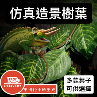 🔥蝦皮最便宜 模擬造景樹葉 多款可挑 植物 仿真植物 植物擺飾 免澆水植物 黃金葛 植物裝飾 園藝 藤蔓 造景