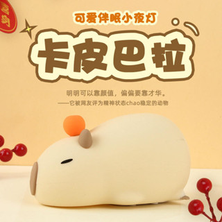 ▸現貨◂ 夜燈 趴趴卡皮巴拉夜燈 豚鼠夜燈 小夜燈 創意夜燈 USB氛圍燈 臥室燈床頭燈 生日禮物 交換禮物 水豚夜燈