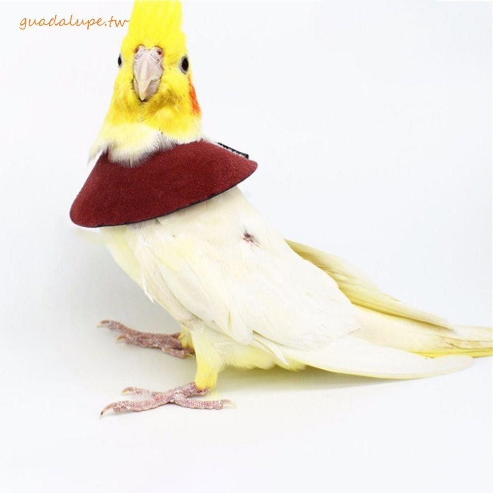 GUADALUPE鳥類恢復項圈創意天鵝絨防咬可調鳥類配件用於鳥頸防護鳥頸袖