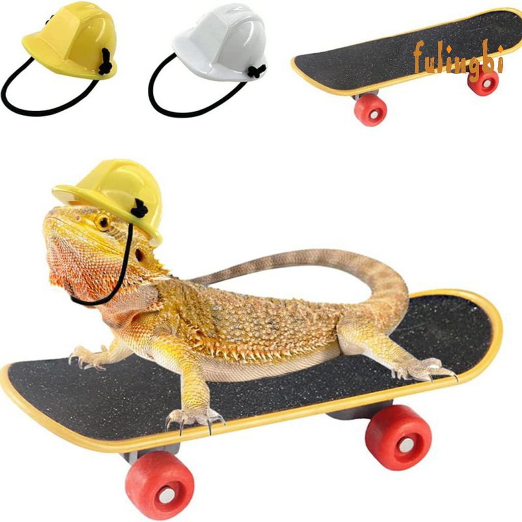 [FUI] 寵物頭盔滑板3件套 寵物工程帽安全帽倉鼠蜥蜴鸚鵡玩具
