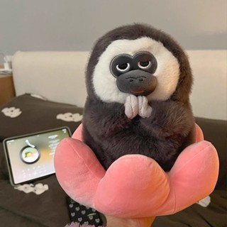 臺灣發貨 小紅書同款 白麵猴毛絨玩具 公仔 可愛卡通動物玩偶 軟萌睡覺抱枕 生日禮物醜萌公仔 桌子擺件 白麵僧人猴子玩偶