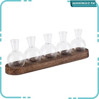 [SunnimixadTW] 花瓶簡約植物玻璃容器用於餐桌中心裝飾品辦公室陽臺