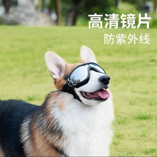 【現貨速發】 狗狗防風眼鏡 狗狗護目鏡頭盔寵物 防紫外線戶外防風拍照專用 ERGJ