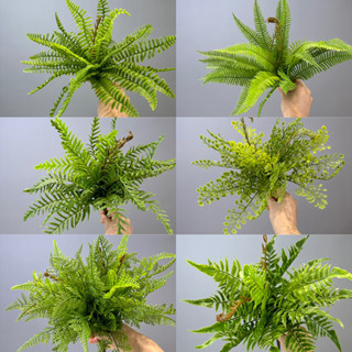 模擬蕨葉波斯草模擬蕨類植物蕨草手感軟膠植物牆造景配材魚尾蕨葉