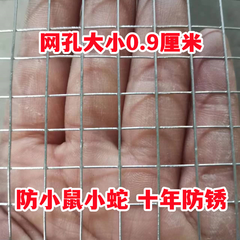 🔥台灣出貨🔥熱鍍鋅鐵絲網電焊網小孔防鼠防蛇防鏽網陽臺窗戶護欄網養殖雞鴨兔-熱銷