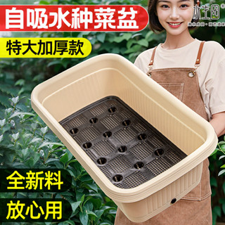 熱銷爆款 [百補品牌熱銷43.5萬件]新款特大陽臺種菜盆自吸水家用種菜專用盆長方形塑膠蔬菜種植花盆